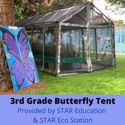 3rd Grade Butterfly Tent - Provided by STAR Education & STAR Eco Station